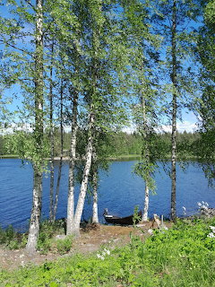 Enonvesi Lake, Finland