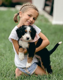 Young girl smiling and holding a black and white puppy while kneeling on grass outdoors