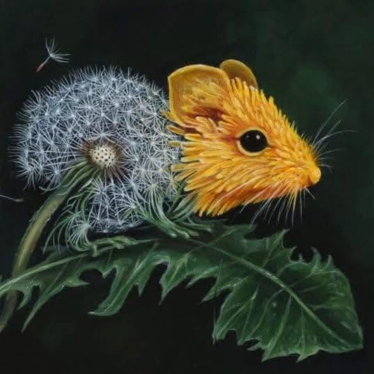 Dandelion Mouse