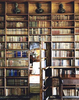 Library bookshelf with hidden door opening revealing passage behind books