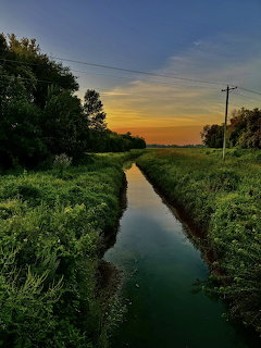 Narrow creek at sunrise with green plants, trees, and reflected sky