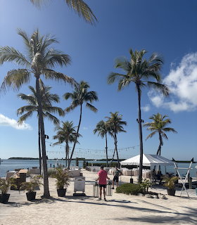 Tall palm trees along a sandy waterfront with a white event tent, people, and turquoise water in the background