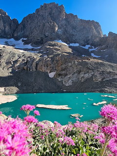 Turquoise alpine lake surrounded by rocky mountains and pink wildflowers in the foreground