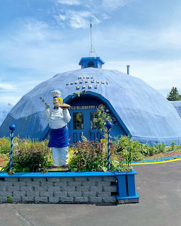 Blueberry Dome Building