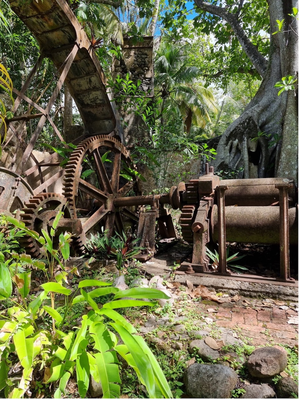 Rusted iron gears and machinery from an abandoned sugar mill