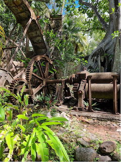 Rusting Sugar Mill Machinery
