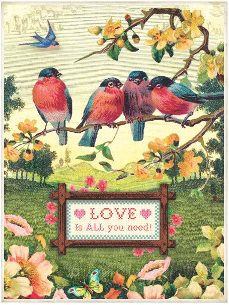 Vintage illustration of birds on a branch with flowers and a Love is All you need sign