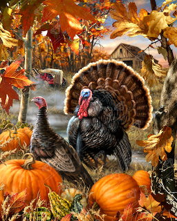 Three turkeys standing among pumpkins and autumn leaves on a farm with a red barn