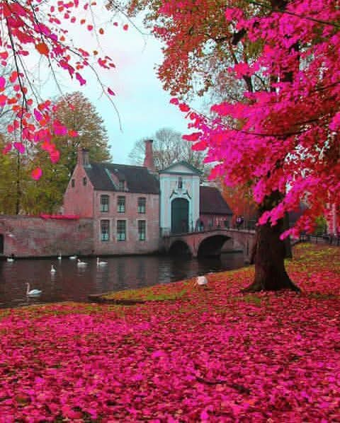 Beguinage of Bruges