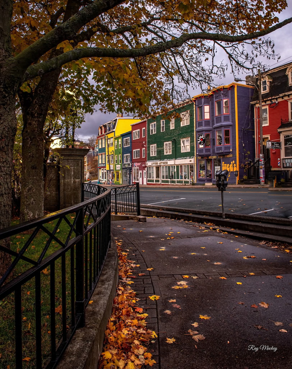 Colorful row of buildings along an autumn street in St. John's, Newfoundland, Canada