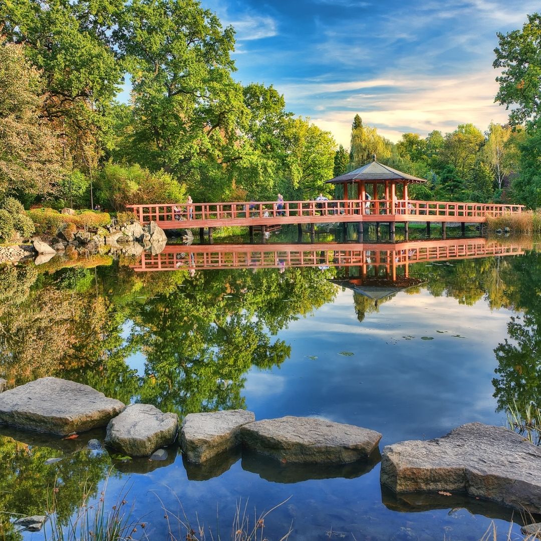 Wooden bridge and gazebo reflected in a calm garden pond with stepping stones and trees