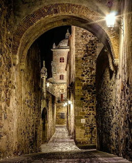 Narrow cobblestone alley under a brick arch between old stone buildings at night