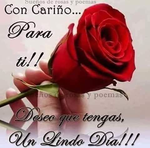 Close-up of a red rose with Spanish greeting text overlay
