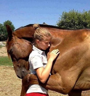 Brown horse affectionately nuzzling a young child in white shirt outdoors