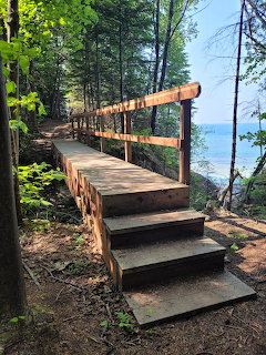 Wooden boardwalk with steps winding through green forest toward a lake on a sunny day