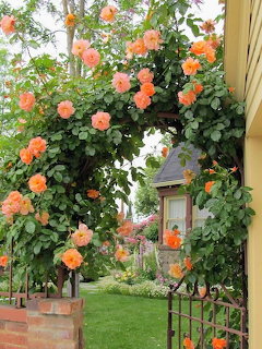 Garden archway adorned with vibrant coral roses and a hanging lantern in a well-maintained garden