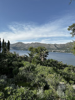 View of a calm bay with mountains in the background, framed by lush green trees and shrubs