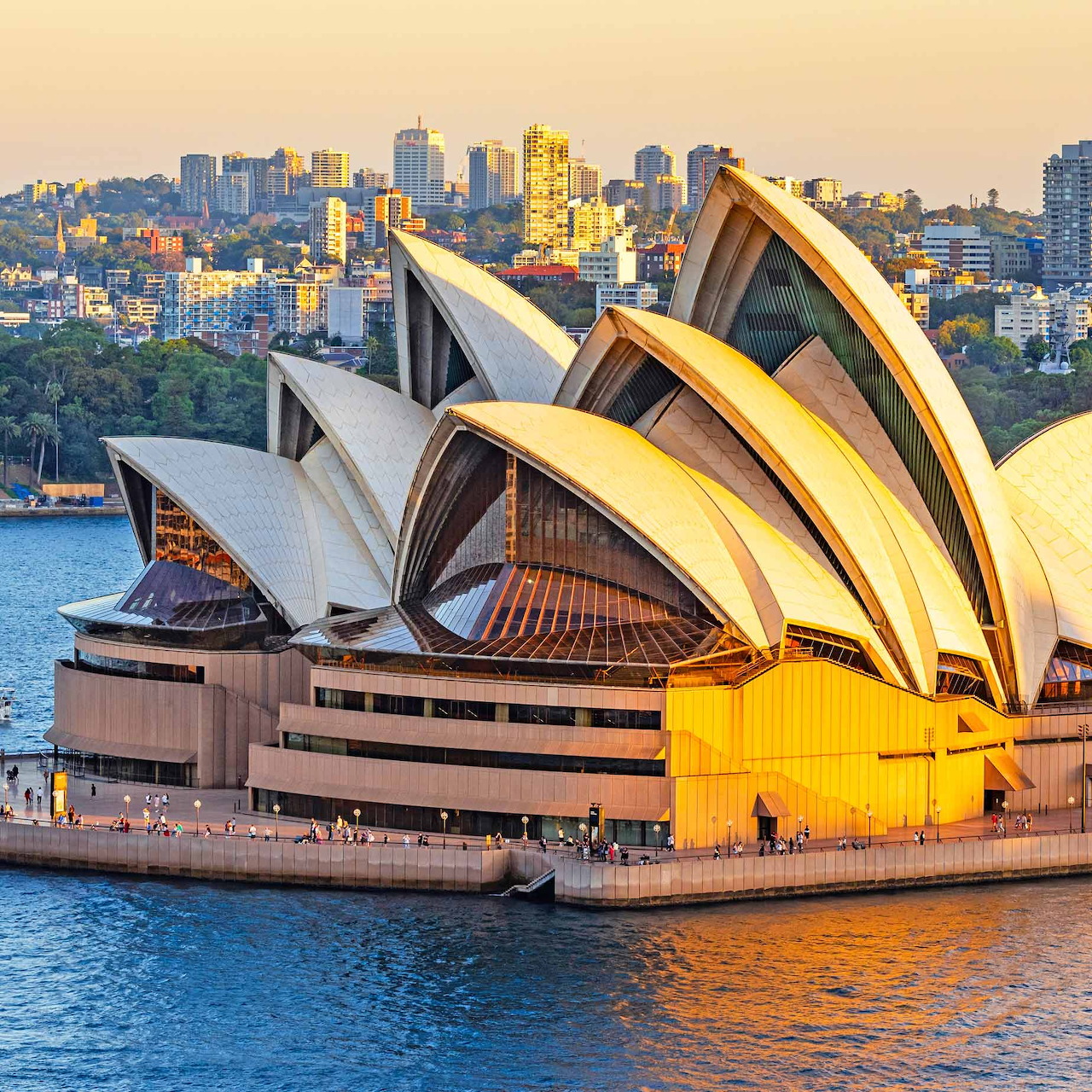 Sydney Opera House with illuminated white sails at sunset, harbor and city skyline in background