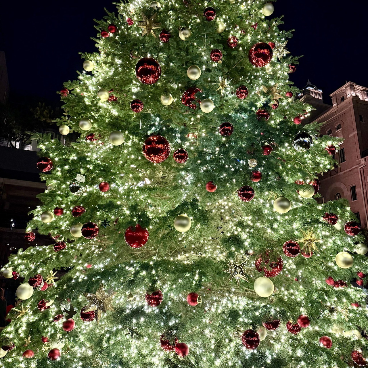 Christmas Tree 2