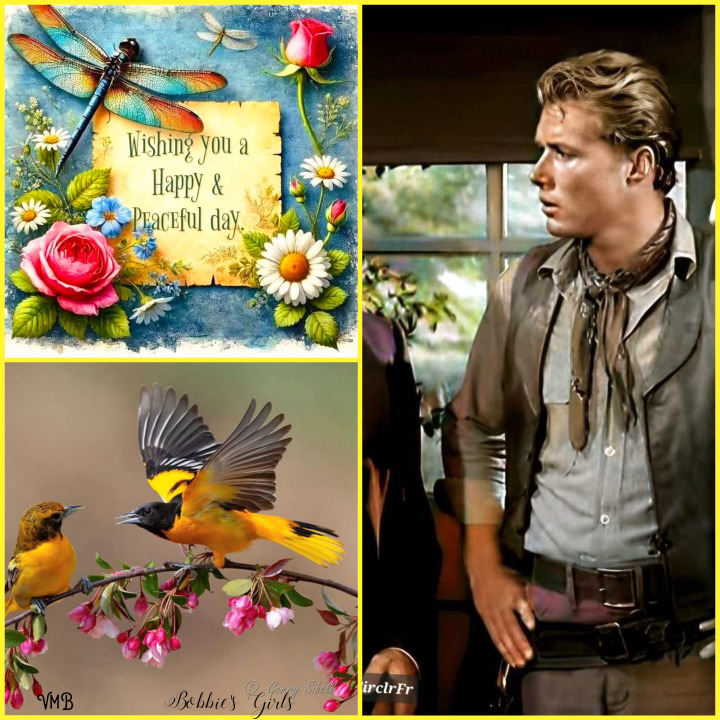Four-panel collage with a floral greeting card, a man in western attire, and colorful birds on branches