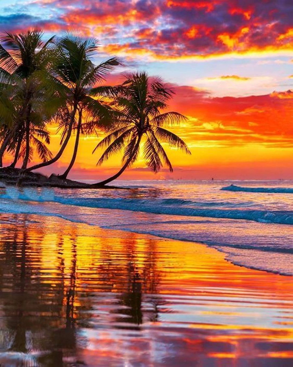 Palm trees on a sandy beach at sunset with colorful clouds and reflections on wet sand