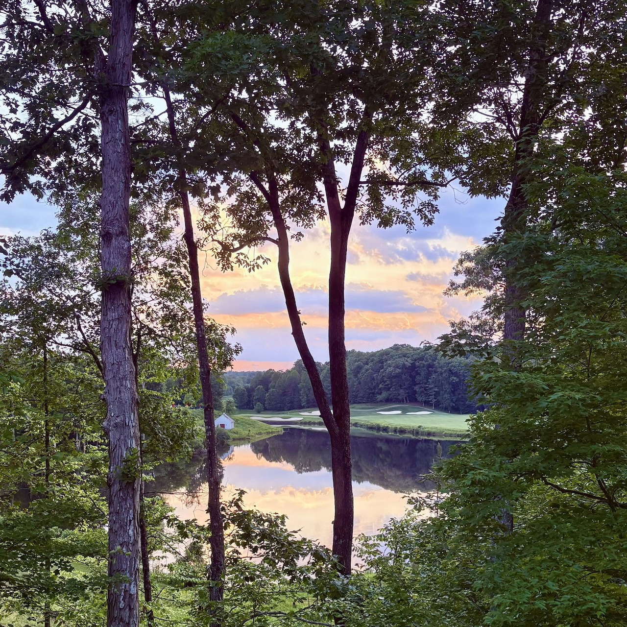Lake View Through Trees