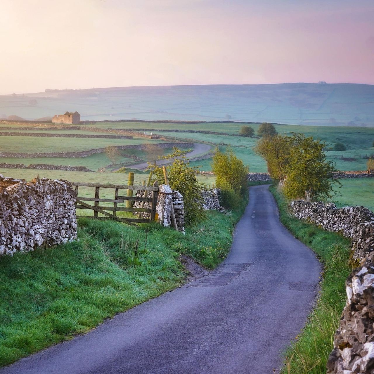 Country Lane Landscape