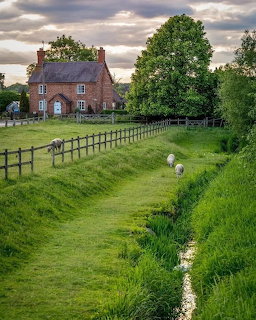 Leicestershire Cottage Garden