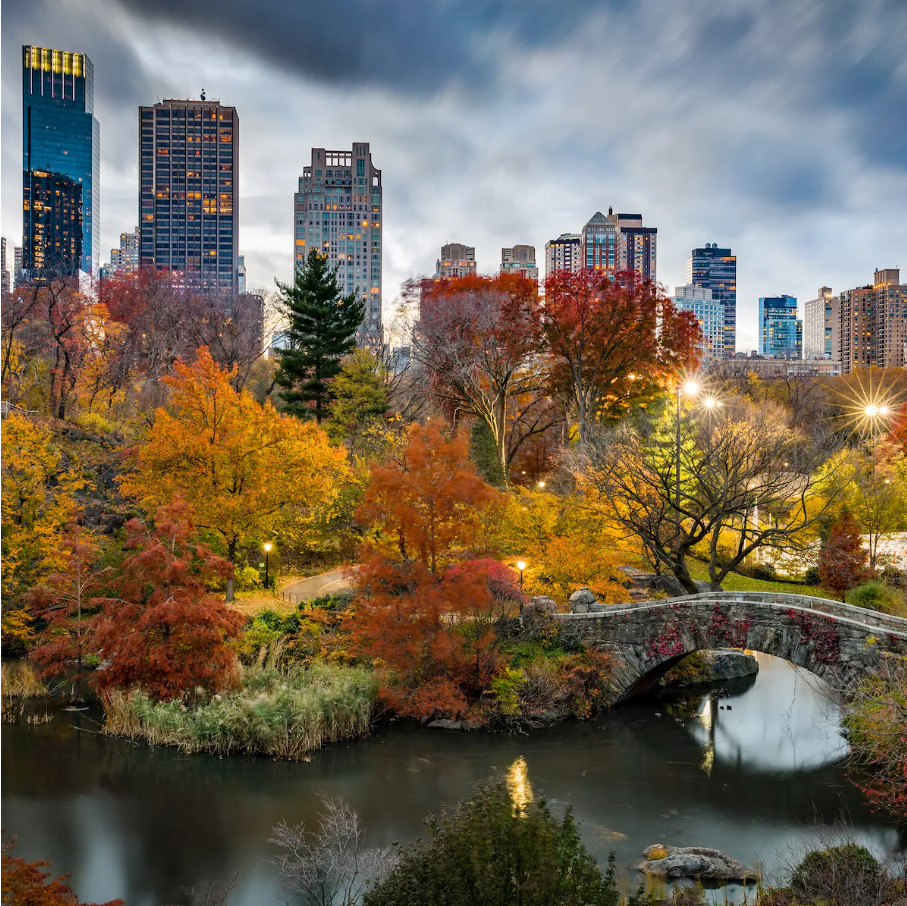 Central Park in autumn with colorful trees, stone bridge, pond, and Manhattan skyline at dusk