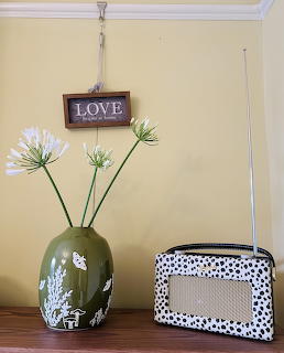Agapanthus Vase and Vintage Radio