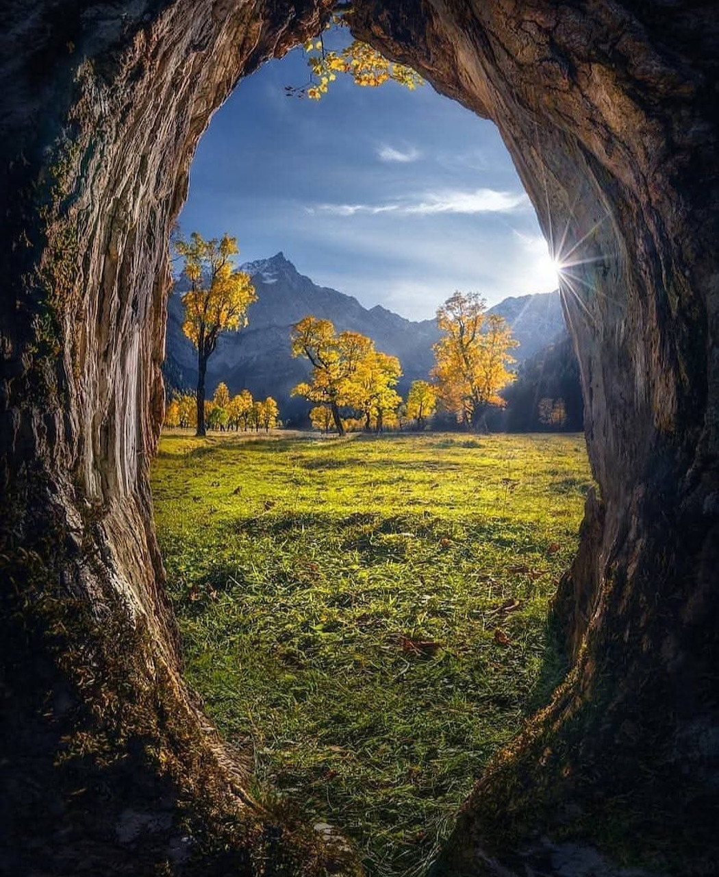 Cave Opening Mountain Meadow