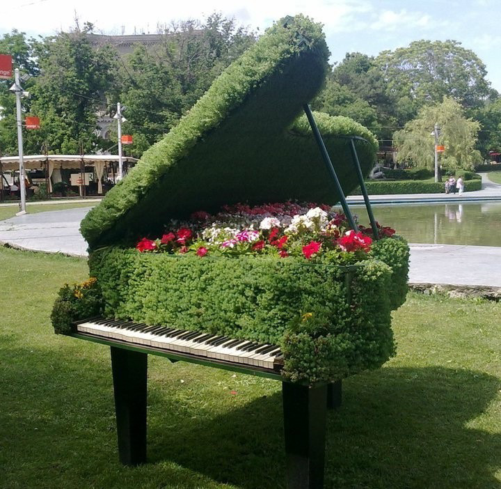 Grand piano-shaped topiary on grass, made of green hedges with red and white flowers