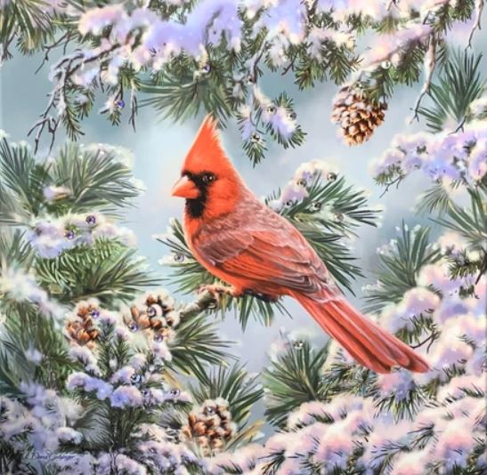 Red cardinal bird on snowy pine branch with purple flowers and pine cones
