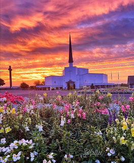 White church with spire at sunrise, vibrant sky, flower garden foreground