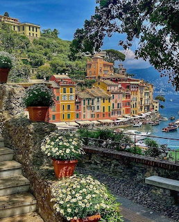 Vibrant coastal village with colorful buildings along harbor, flowers in foreground, blue sky above