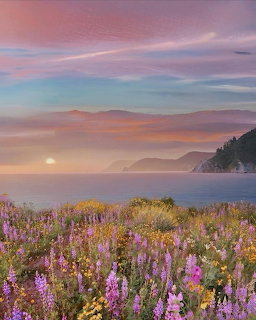 Pink Sunset Coastal Wildflowers