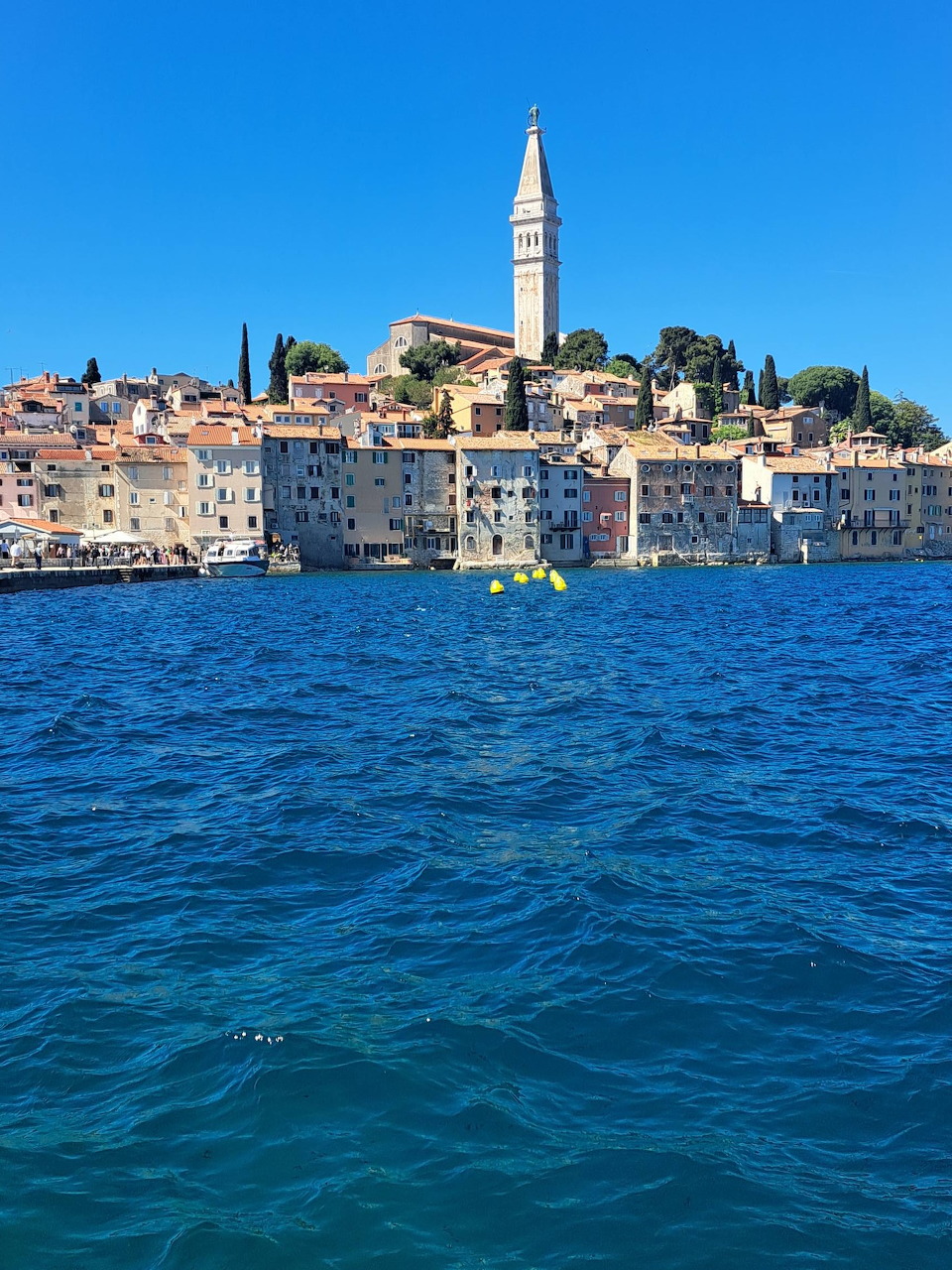 Rovinj waterfront in Croatia with a tall church tower above buildings and blue sea in the foreground