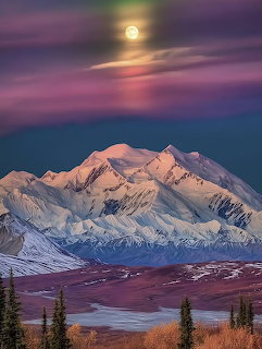 Denali National Park Alaska