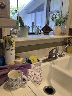 Kitchen sink area with white shelving, mugs, plants, and a window with natural light