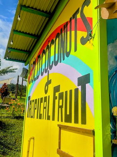 Tropical Fruit Stand