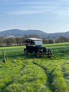 Ford Model T in Green Field