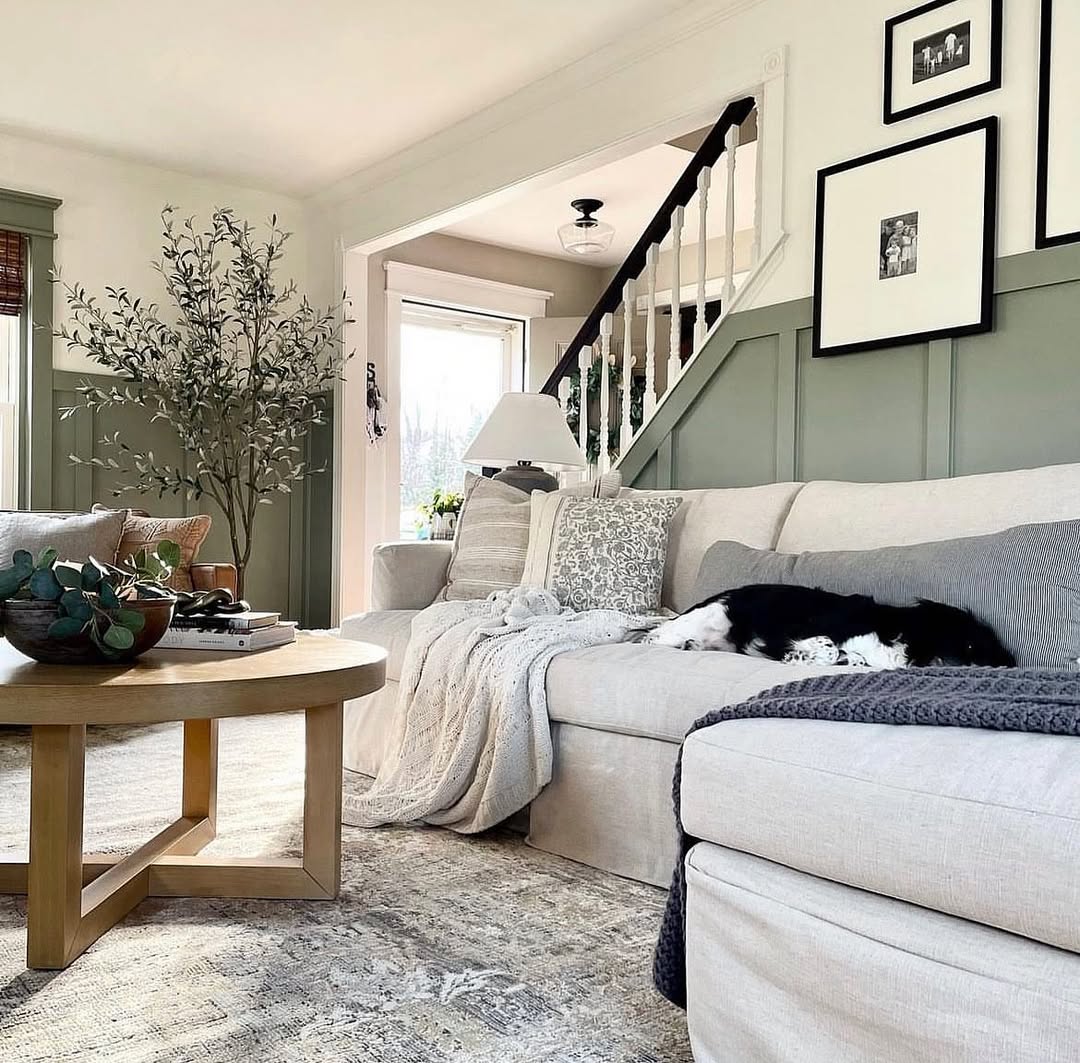 Black and white dog sleeping on a grey sectional sofa in a cozy living room with green wainscoting and staircase