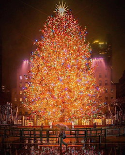 Large Christmas tree covered in colorful lights at Rockefeller Center plaza at night