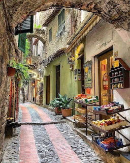 Narrow cobblestone alley in Liguria with rustic buildings, small shops, and potted plants under a stone arch