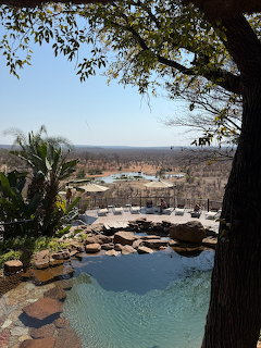 Infinity pool with stone deck overlooking expansive African savanna, framed by tree branches