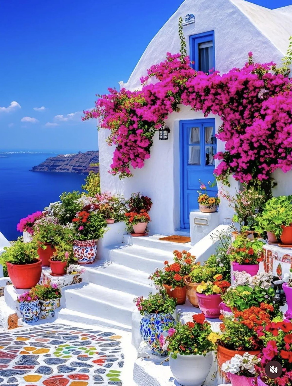 Greece White House Flowers