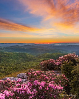 Mountain Sunset Wildflowers