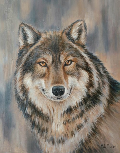 Close-up painting of a gray wolf with amber eyes and detailed fur against a muted blue background