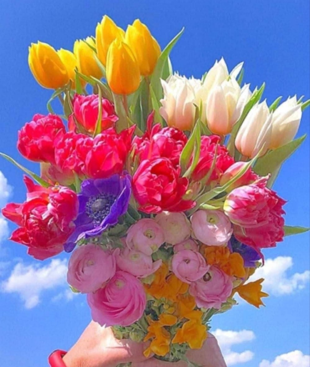 Colorful Tulip Bouquet