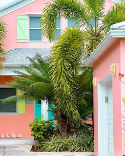 Pink tropical house with mint shutters, palm trees, and lush greenery